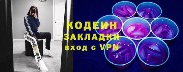 крисы Новозыбков