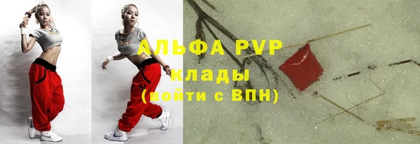 крисы Новозыбков