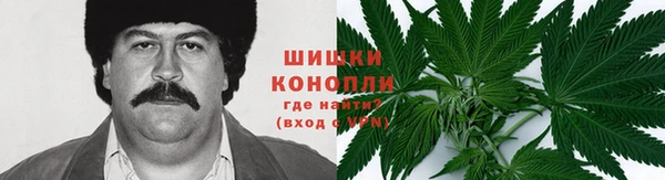 крисы Новозыбков