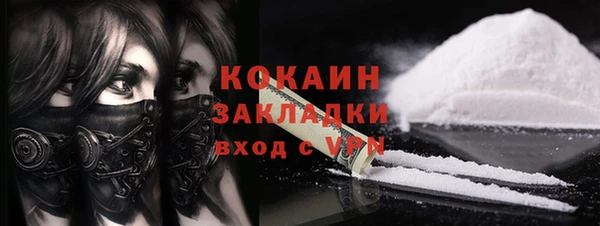 крисы Новозыбков