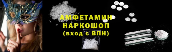 крисы Новозыбков