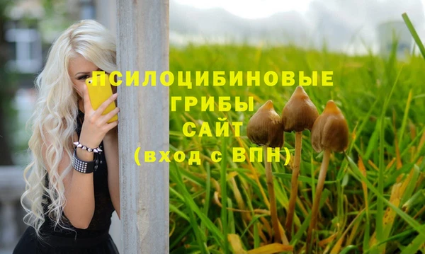 a pvp Новодвинск