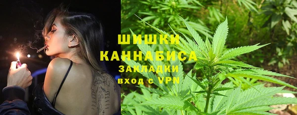 крисы Новозыбков