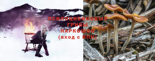 a pvp Новодвинск