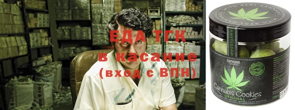 крисы Новозыбков