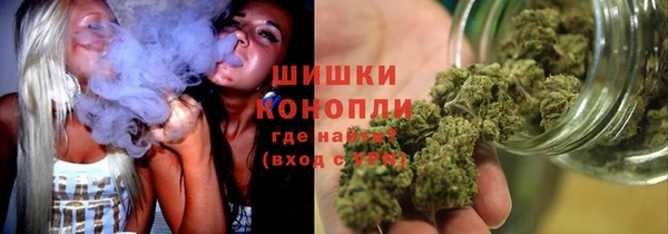 крисы Новозыбков