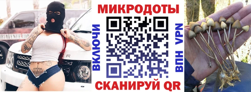 Галлюциногенные грибы мицелий Шебекино